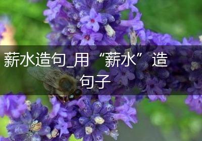 薪水造句_用“薪水”造句子