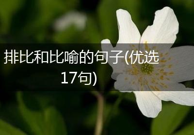 排比和比喻的句子(优选17句)