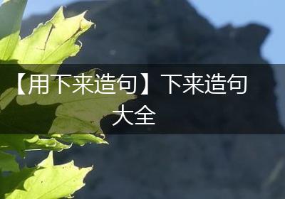 【用下来造句】下来造句大全