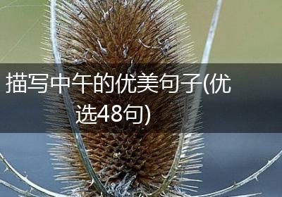描写中午的优美句子(优选48句)