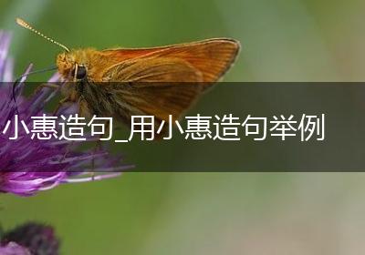 小惠造句_用小惠造句举例