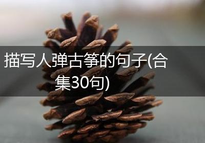 描写人弹古筝的句子(合集30句)