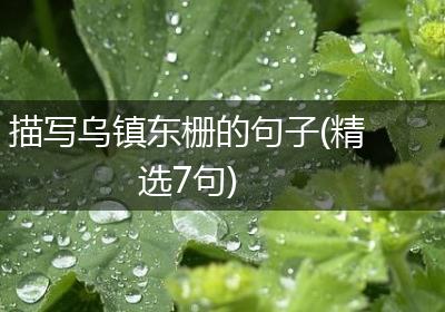 描写乌镇东栅的句子(精选7句)