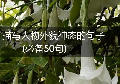 描写人物外貌神态的句子(必备50句)