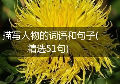 描写人物的词语和句子(精选51句)