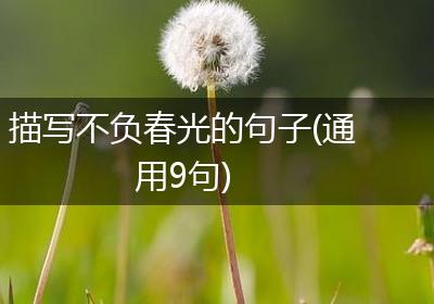 描写不负春光的句子(通用9句)