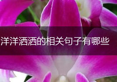 洋洋洒洒的相关句子有哪些