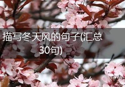 描写冬天风的句子(汇总30句)