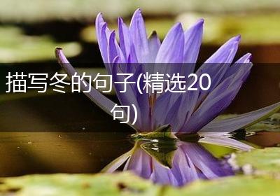描写冬的句子(精选20句)