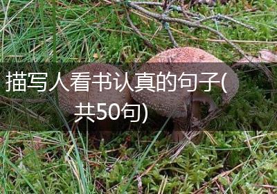 描写人看书认真的句子(共50句)