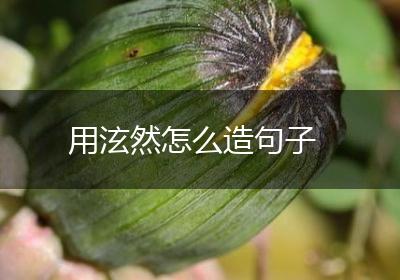 用泫然怎么造句子