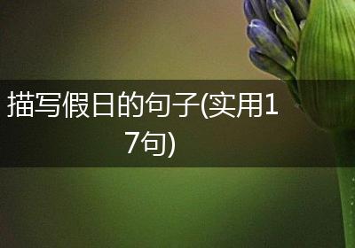描写假日的句子(实用17句)
