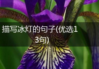 描写冰灯的句子(优选13句)