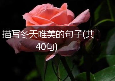 描写冬天唯美的句子(共40句)