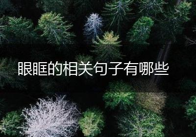 眼眶的相关句子有哪些