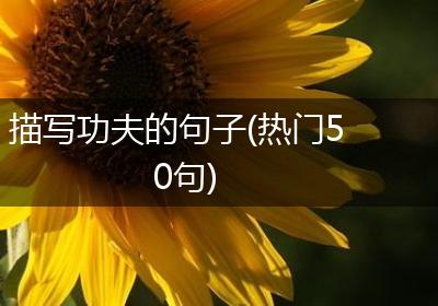 描写功夫的句子(热门50句)