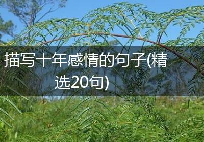 描写十年感情的句子(精选20句)
