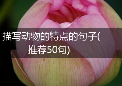 描写动物的特点的句子(推荐50句)