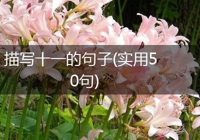 描写十一的句子(实用50句)