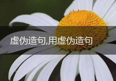 虚伪造句,用虚伪造句