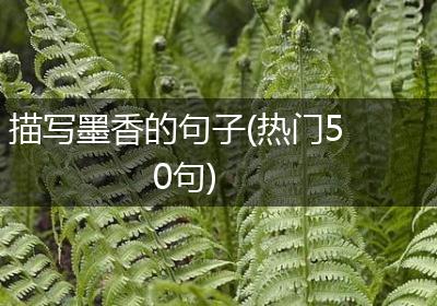 描写墨香的句子(热门50句)