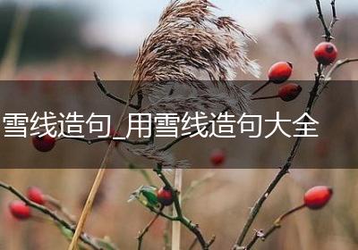 雪线造句_用雪线造句大全