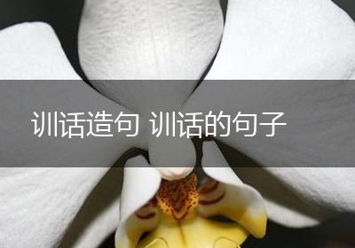训话造句 训话的句子