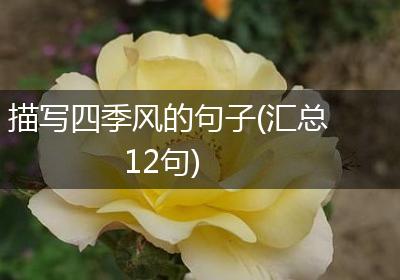 描写四季风的句子(汇总12句)