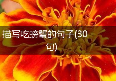 描写吃螃蟹的句子(30句)