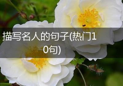 描写名人的句子(热门10句)