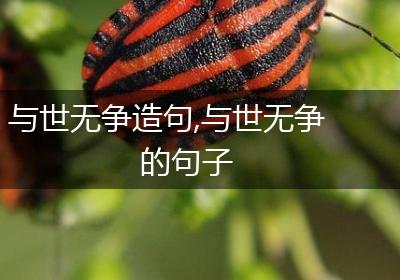 与世无争造句,与世无争的句子