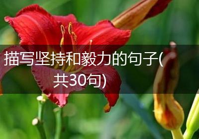 描写坚持和毅力的句子(共30句)