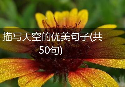 描写天空的优美句子(共50句)