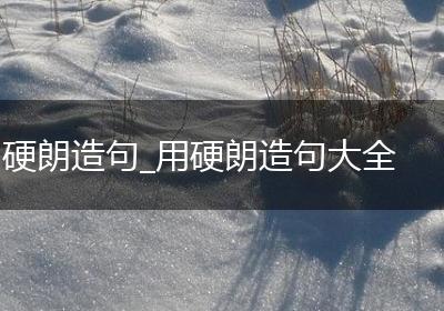 硬朗造句_用硬朗造句大全