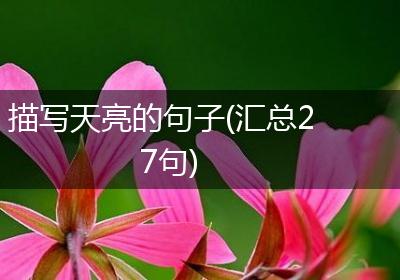 描写天亮的句子(汇总27句)
