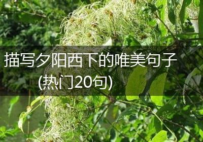 描写夕阳西下的唯美句子(热门20句)