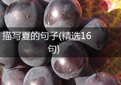 描写夏的句子(精选16句)