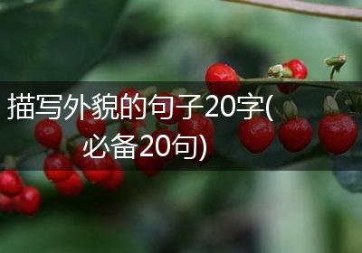 描写外貌的句子20字(必备20句)