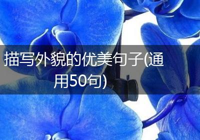 描写外貌的优美句子(通用50句)