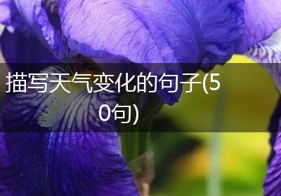 描写天气变化的句子(50句)