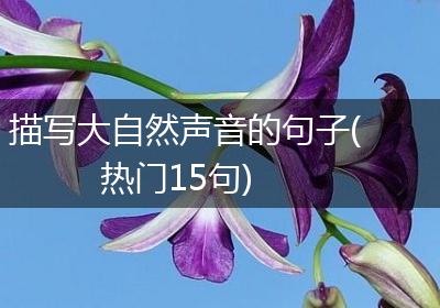 描写大自然声音的句子(热门15句)