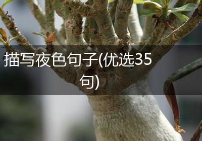描写夜色句子(优选35句)