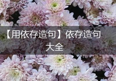 【用依存造句】依存造句大全