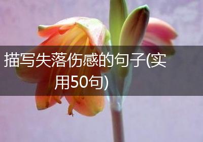 描写失落伤感的句子(实用50句)