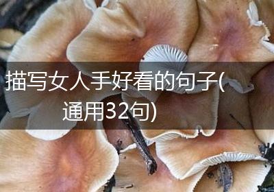 描写女人手好看的句子(通用32句)