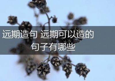 远期造句 远期可以造的句子有哪些