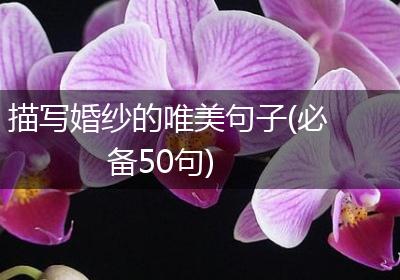 描写婚纱的唯美句子(必备50句)