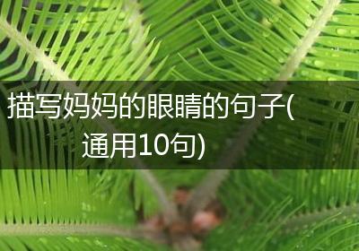 描写妈妈的眼睛的句子(通用10句)