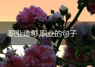 职业造句 职业的句子