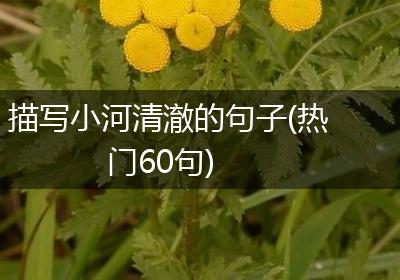 描写小河清澈的句子(热门60句)